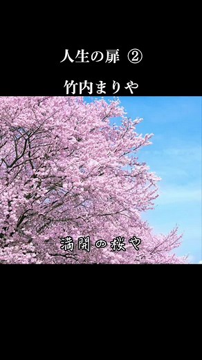 #竹内まりや #人生の扉 #歌詞動画 #@ryu.n1015 りゅうりゅう本垢フォローよろしくお願いします🌻