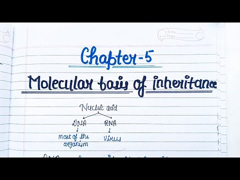Molecular Basis Of Inheritance || Class 12 Biology Best Handwritten Notes For Boards 😇#biology