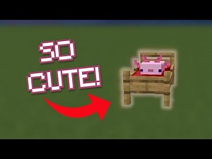 3D axolotl BED OVERLAY! // Hypixel Bedwars