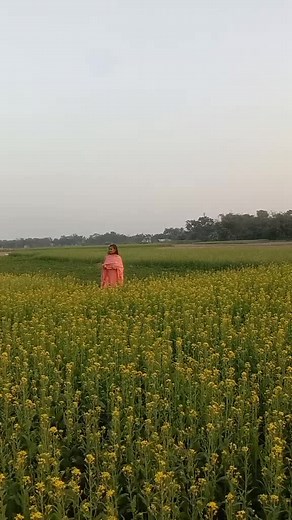 অচেনা মানুষ আমি (@cocolovelokofficial16)’s videos with original sound - ࿐ᴛᴀᴍɪᴍ ᴀʟᴀᴅɴᴀɴ࿐