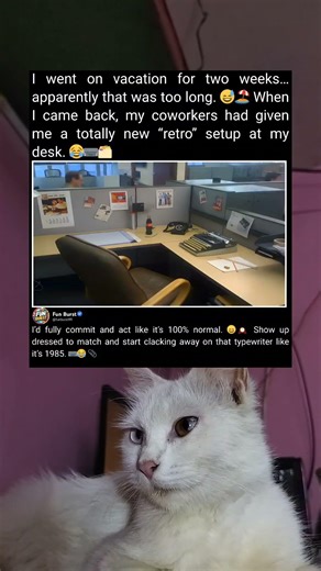 Surprise Retro Desk Setup