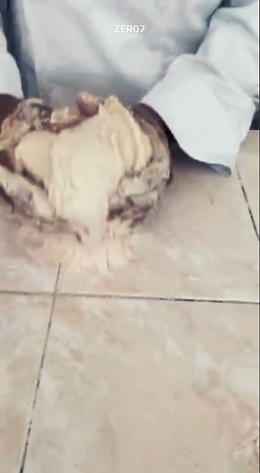 Baking Gone WRONG! 😱 You Won't Believe What Happened!