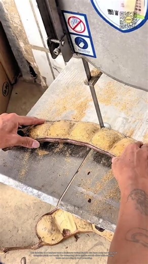 How Industrial Food Bandsaws Slice Giant Roots So Fast #9work