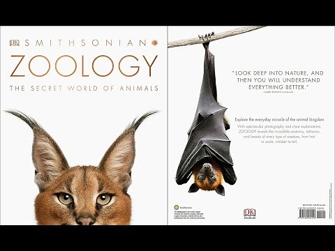 Zoology: Inside the Secret World of Animals