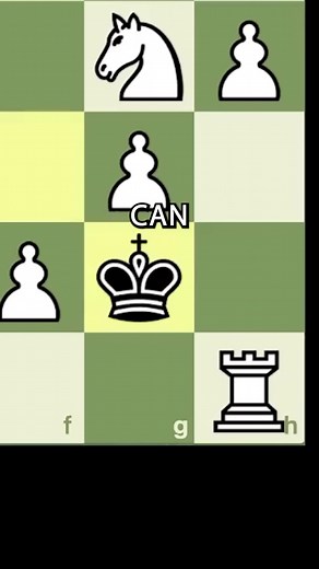 508K views · 5.9K reactions | The Greatest QUEEN SACRIFICE I have Ever Seen! #chess #chessgame #chessboard #reelsfb #shorts #viral #trending | Daily Dose Of Chess | Facebook