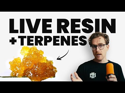 How Full Spectrum Live Resin + Terpenes Make Liquid Diamonds Better! | The Slow Burn #13