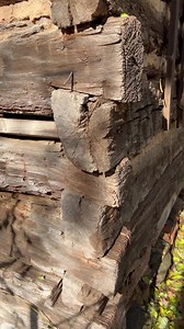 313K views · 6.5K reactions | Late 1700s log cabin site! Just rotting away in the woods. #abandonedplaces #abandoned #cabinlife #metaldetecting #nuggetnoggin #treasurehunting #exploremore #reels | Nugget Noggin | Facebook