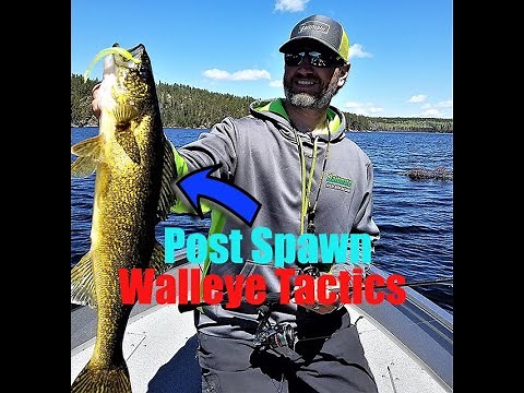 Finding Post Spawn Walleyes