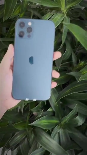 📲 iPhone 12 Promax sang , xịn , giá mềm 😉 🧧Đặc biệt khi quý khách mua máy sẽ được rút bao lì xì 100% có lộc 😘 ✔️Chính Hãng Apple ✔️ Đủ màu - đủ dung lượng ✔️ Máy đẹp , nguyên zin , bảo hành chuẩn ✔️ Hỗ trợ trả góp 🎁 Quà tặng hấp dẫn trị giá 2 triệu 📩 Inbox ngay để giữ máy & nhận ưu đãi tốt nhất 👉 Ghé ngay Tâm Táo Tốt để rinh táo xịn 😉 𝐓𝐚̂𝐦 𝐓𝐚́𝐨 𝐓𝐨̂́𝐭 - 𝐂𝐡𝐮𝐲𝐞̂𝐧 𝐢𝐏𝐡𝐨𝐧𝐞 𝐐𝐮𝐨̂́𝐜 𝐓𝐞̂́ 𝐂𝐡𝐢́𝐧𝐡 𝐇𝐚̃𝐧𝐠 ☎️ Hotline : 0829.618.638 ⏰ Mở cửa : 8:00AM - 8:00PM 🏠 Địa c