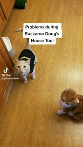 The Buckaroo Doug saga continues! So much happens, yet barely anything, all at the same time. Really appreciate all of the kindness we've received on the series. If you'd like to support and get tour merch, the store link is in the bio. More soon! 😺🤠😺 | Drennon Davis