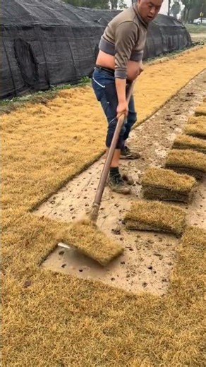 Wait for the perfect cut 🌱✨🎥