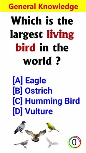 GK In English | GK Questions and Answers | English GK Questions Answers | GK Shorts #GK #Quiz #155