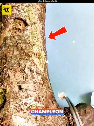5 Invisible Creatures You Won’t Believe Exist 😱 | #shorts #animals
