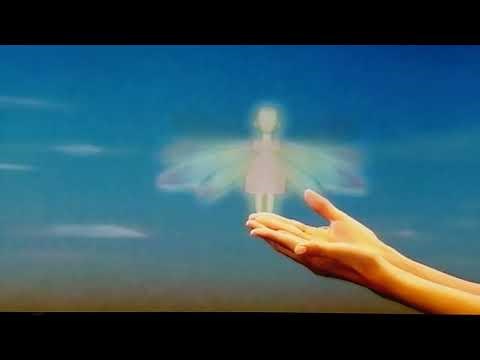 おかあさんといっしょ 杉田あきひろ&つのだりょうこ にじ・そら・ほし・せかい