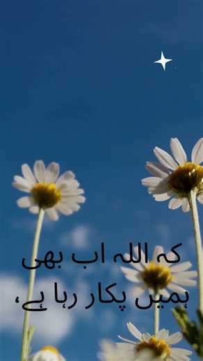 💯💞🥰😍💔 #quotes #deensayings #islamicquotes #viral #motivation #deenivoice #islamicsayings