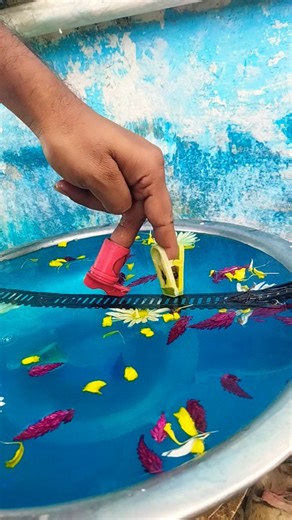 railroad crossing duihajarpanchastari #viralvideo