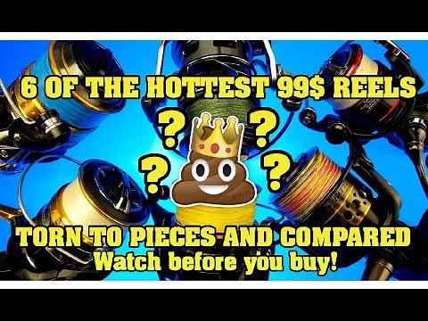 2018 - 2019 $100 reel buying guide, comparison, and review. Penn, Shimano, Daiwa, Tsunami