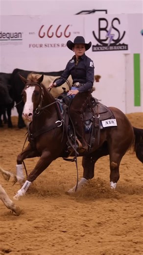Im Hott Ur Reyl Not, owned by Lynne Faust Performance Horses, and Emily Kent put up a 215.5 in their Open Herd Work at the NRCHA Snaffle Bit Futurity. 🔴 𝐓𝐇𝐄 𝐍𝐄𝐗𝐓 𝐄𝐏𝐈𝐒𝐎𝐃𝐄 🔴 #dualreyish #nrcha #wolflivestock #chromecash #milliondollarsire #superstallionincentive | Dual Reyish