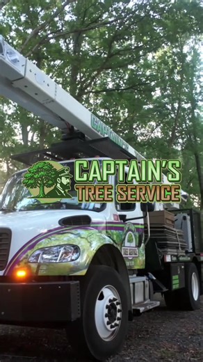 Reliable Tree Services by a Caring Team