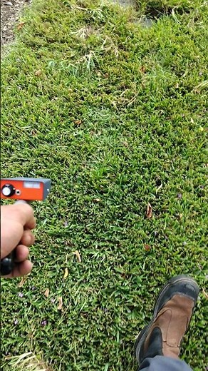 How to find underground sprinkler system valves that need repair 🛠️💦🏡 #2024 #irrigation #technology