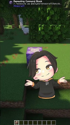 Command Minecraft Java part 3