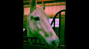 Eagle Rock Resort on Reels | Facebook