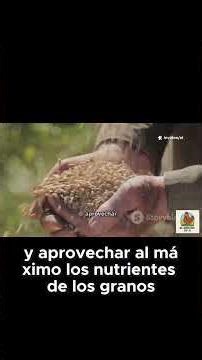 The Natural Fermentation Process