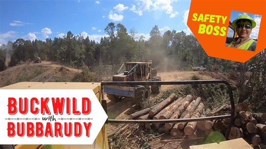 Logging in some hills! I'm on the Tigercat 234 loader with Pop, & Dillon's bringing us the wood with the 610E skidder. Also, I let you know where to get your safety equipment🦺 Thursday's Throwback to October 2019 #logging #forestry | Buckwild with Bubbarudy