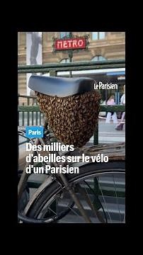 Thousands of bees settle on a Parisian's bicycle