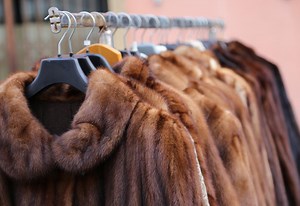 Real fur is making a comeback after years of exile: ‘You’ll see it on the runway again’