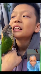 Why did this bird remove this boy tooth Abeg if you know tell me | Entertainment and gist by Blessing