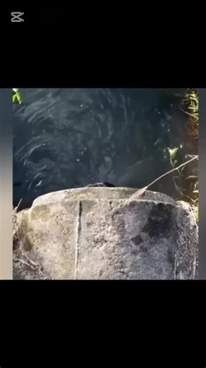 Hilarious Facts That Will Make You Laugh Out Loud