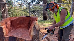 VIDEO: Chainsaw artist Kevin Duffy works on a Californian sequoia.