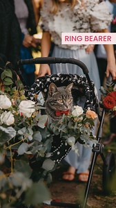 8K views · 12 reactions | Celebrate your furry friend by giving them a special role on your big day. From ring bearer to flower pup, there are endless ways to include your pet in your wedding. ✨ #WeddingPets #FurryFriends #WeddingIdeas #PetLove #WeddingInspiration #WeddingPlanning #PetFriendlyWeddings | Bridal & Wedding Expo | Facebook