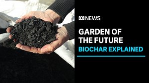 Green waste transformed into soil enhancer in biochar pilot program | ABC News - The Global Herald