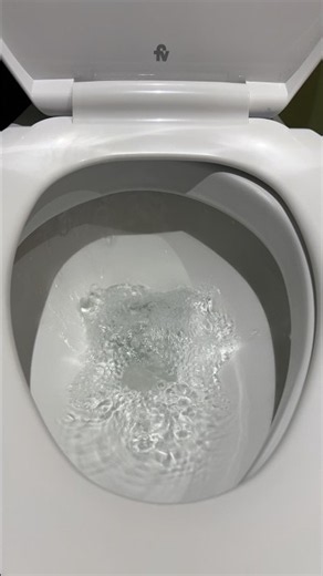 Toilet Flushing with loud suction sound