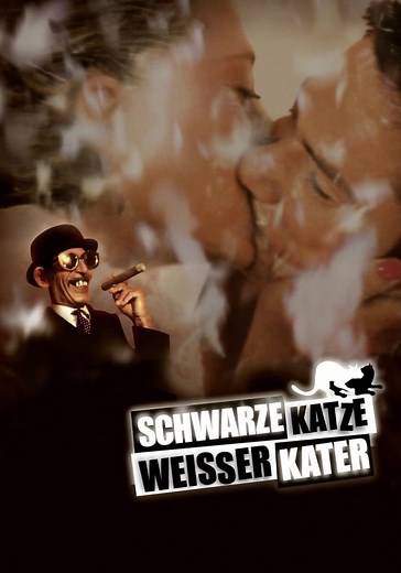 Schwarze Katze, weißer Kater - Stream: Online anschauen