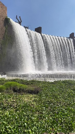 Cradle Moon Lakeside Game Lodge Day Visitors Info