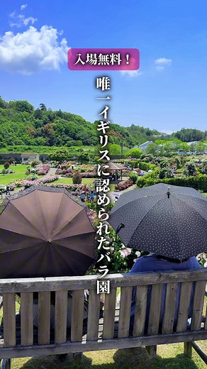 デビッド・オースチン イングリッシュローズガーデン｜入場無料の大阪バラ園