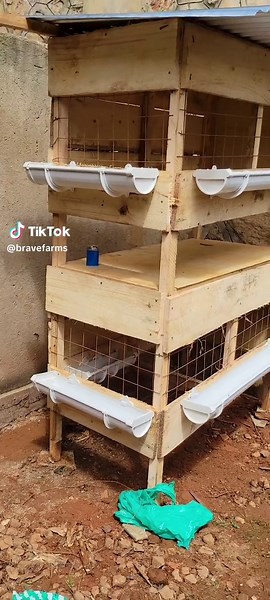 Brave (@bravefarms) - Modern Chicken Cages for Small Spaces at Home