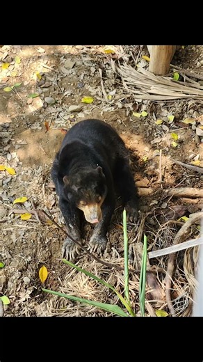 新竹市立動物園