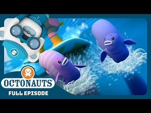 @Octonauts - 🏄‍♀️ The Surfing Snails 🐌 | Season 4 | Full Episode | Cartoons for Kids - Videos For Kids