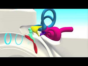 Ear Animation