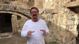 12K views · 695 reactions | At the pool of Bethesda where a powerful...