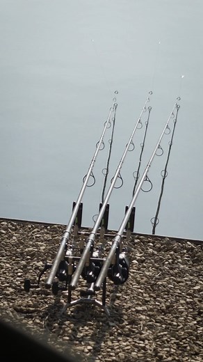 35K views · 444 reactions | OUT NOW  Head over to the Daiwa Carp YouTube channel to watch the full film  . #daiwa #daiwacarp #daiwafishing #carp #fishing #carpfishing #karpfen #karpfenangeln | Daiwa Carp | Facebook