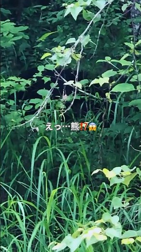 熊に遭遇🐻！⛰️絶景の連続！燕岳〜表銀座縦走で常念岳へ！ 🏔️#トレイルランニング #トレラン #登山 #山駆