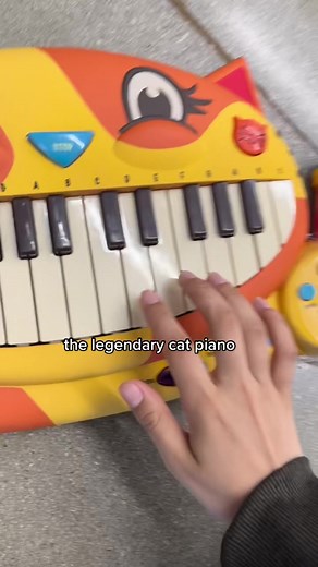 Kids Playing with Cat Piano Toy in Golden Hour