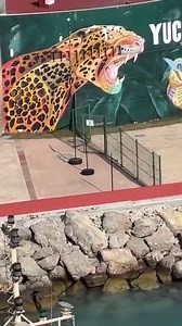 1.1M views · 3K reactions | OMG. This is the best Cruise Lines Pier Runners ever. Free show to watch. Cruising With Carnival. 藍 Carnival Drink Package 藍藍藍. Video by Wendy Mattoon Jones. | Carnival Cruise Line Miami Blog | Facebook