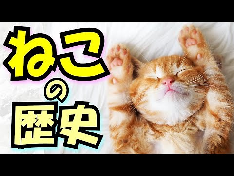 【猫の歴史】ねこはいかにしてかわいい生き物になったのか？ 神秘の祖先「ミアキス」とその後の系譜、進化の過程で猫がとった驚愕の行動とは？【かわいい】(History of Cats)