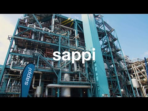 Sappi Saiccor Mill expansion